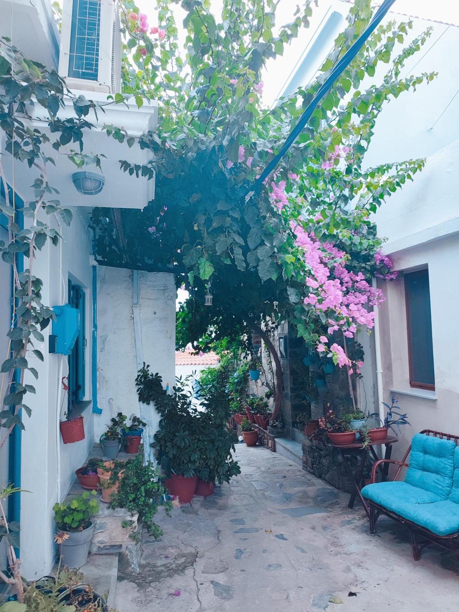 Kastro House Villa Skopelos Town Exterior photo